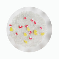 Perles à bulles, canard, champignon, tranches d'argile polymère, paillettes pour slime DIY, remplissage de globe à neige, remplissage de gobelet, artisanat de shaker DIY