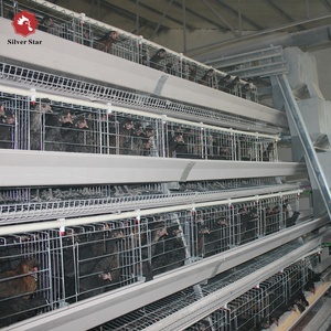 Cage à poules pondeuses à <span class=keywords><strong>prix</strong></span> abordable / Cage pour poules pondeuses / Cage à poulets à <span class=keywords><strong>vendre</strong></span> - Product Image 3