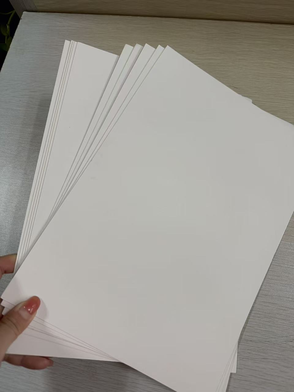 Eco-Friendly 190-400GSM Chemical-Mechanical Pulp Cardboard Roll for Logistics Packaging Offset Printing Compatible Ningbo Brand
