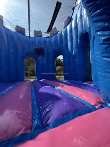 נסיכה מתנפחים קפיצה טירה מתנפחים bouncer בנות להקפיץ הבית עם שקופית קומבו שקופית מתנפחים עבור בנות - Product Image 4