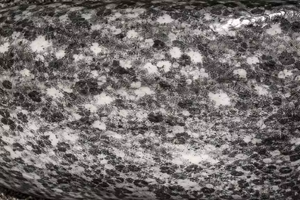 คันเบ็ดตกปลาคาร์บอนเคลือบกราไฟต์+ลายพราง Dongli ประสิทธิภาพสูง ปรับแต่งได้ 100% - Product Image 2