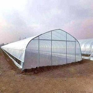 Kit per Agricoltura Protetta con Tunnel in Plastica per Allevamento di Pollame e Lumache, Serra Commerciale - Product Image 2