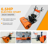 Shandong WSD 6.5 Tenaga Kuda Produk Terlaris Kustomisasi Profesional Mesin Pembersih Salju dengan Starter Elektrik