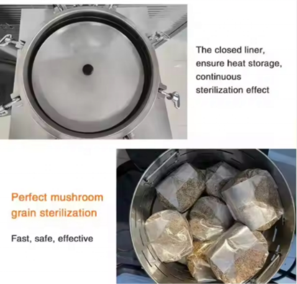 LS easyclave เครื่องนึ่งฆ่าเชื้อแนวตั้ง คุณภาพดี สําหรับโรงพยาบาล