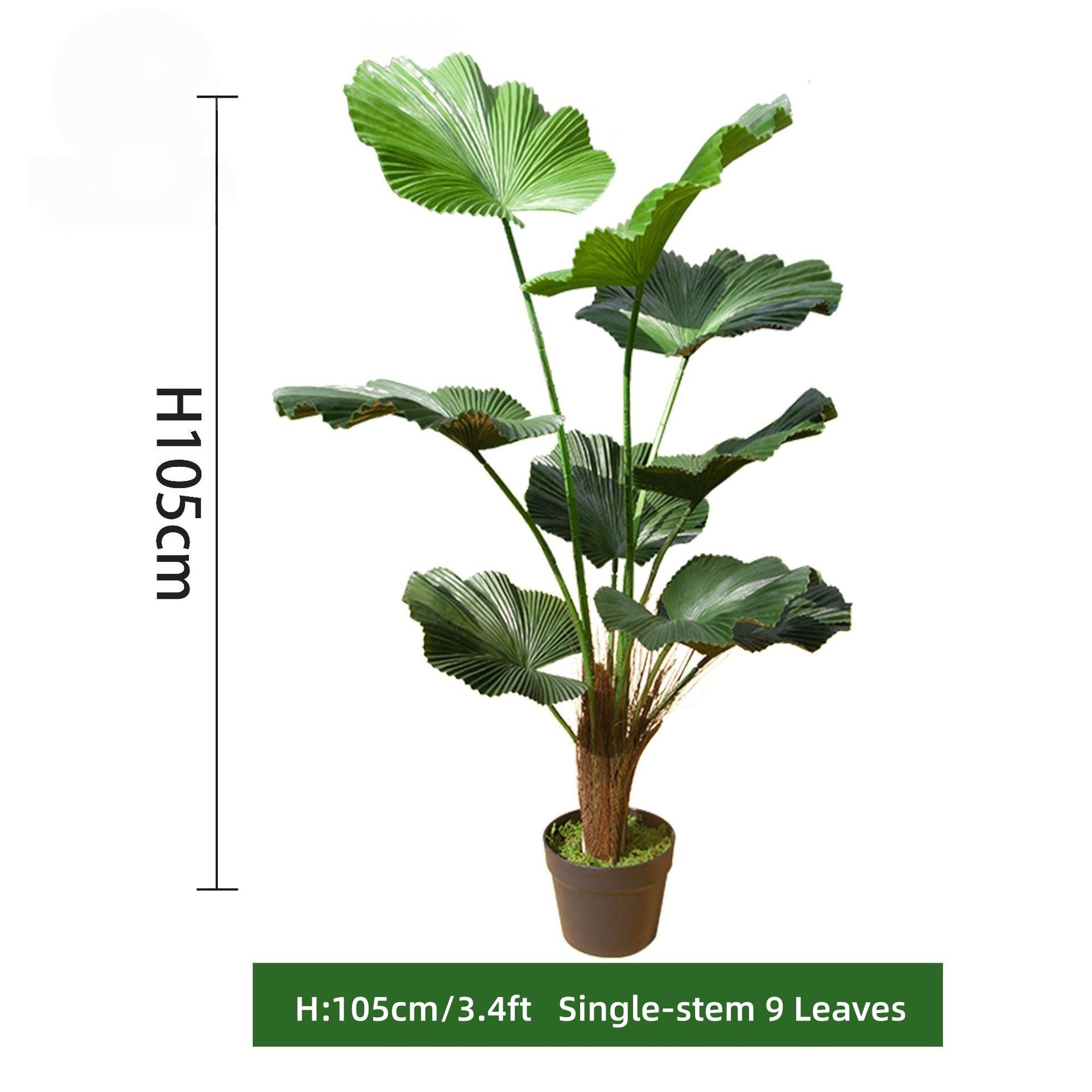 105 cm/3,4 pieds, tige unique, 9 feuilles