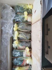มอเตอร์ไฮดรอลิกแบบลูกสูบสูงรุ่น A2FM63/61W-VTD027-S ของแท้พร้อมส่งสำหรับปั๊มเรือ แรงดัน 2000 ปอนด์ต่อตารางนิ้ว - Product Image 5