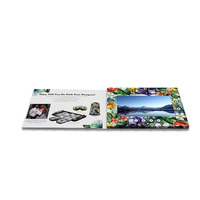Brochure Video LCD