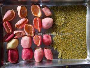 Grape Fruit and Stem Separate <strong>Machine</strong>/grape Stemmer - Product Image 5