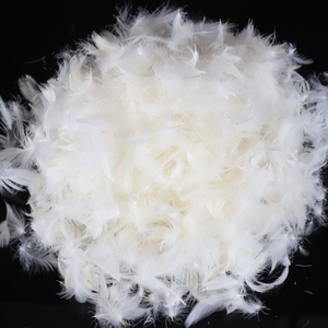 Remplissage de plumes <span class=keywords><strong>d</strong></span>'<span class=keywords><strong>oie</strong></span> lavées <span class=keywords><strong>prix</strong></span> usine pour literie coussin oreiller couette certifié RDS - Product Image 1