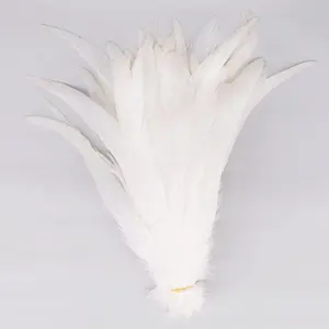 12-14 英寸 (30-35厘米) 批发优质天然漂白色鸡公鸡尾巴羽毛人造白色羽毛