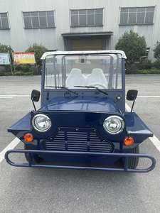 <span class=keywords><strong>Jeep</strong></span> eléctrico de 4 ruedas, coche Moke de 70km, velocidad máxima de 160km, vehículo turístico, <span class=keywords><strong>Mini</strong></span> coche Moke, <span class=keywords><strong>Jeep</strong></span> eléctrico - Product Image 4