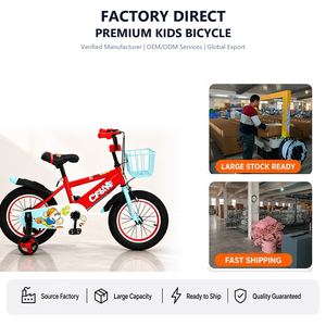 Bicicleta Infantil de 12'', 14'', 16'', 18'' con Ruedas de Entrenamiento Desmontables, Color Rojo, Azul, Rosa y Gris, para Niños y Niñas, Deportes al Aire Libre - Product Image 1
