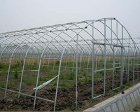 Structure de cadre de serre de tunnel à travée unique Morden de haute qualité Sainpoly pour l'agriculture commerciale
