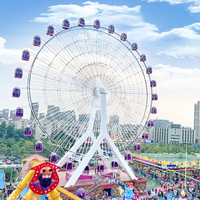Manèges pour autres parcs d'attractions Manège d'équipement de fête foraine manèges en grandes roues à vendre