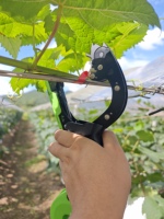 Machine à attacher les plantes agricoles OEM compatible avec le ruban standard et les agrafes 604C