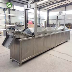 Petite machine commerciale à convoyeur continu pour la friture de chips de maïs, de peau de porc, de beignets et d'arachides, Afrique du Sud - Product Image 2