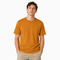 T-shirt en coton blanc pour hommes, poids lourd 240 Gsm, couleur unie, blanc, noir, grande taille, t-shirts pour hommes