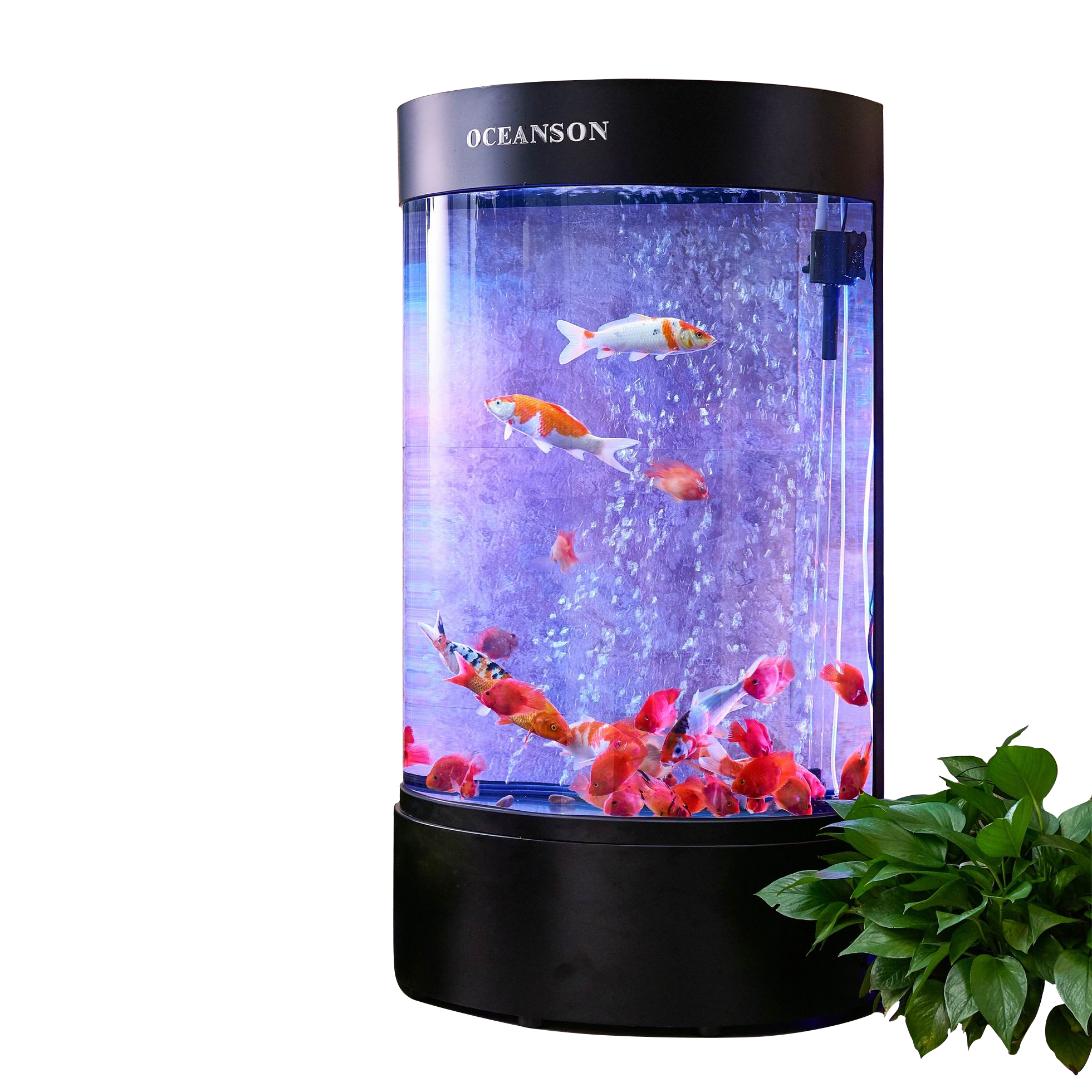 Japaneseプレイヤーの販売 オンラインショッピング アクリル円柱水槽 Alibaba Comでのjapaneseプレイヤーの販売