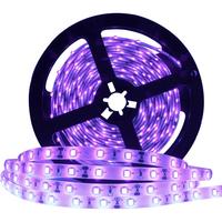 Bandes LED UV germicides 12V IP67 violettes UVA UVC 5M SMD2835 254 360 365 400nm pour culture UV