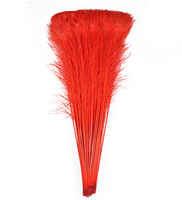 Plumes de paon naturelles pour la vente, fête, carnaval, décoration de mariage, centre de table, vase de Noël, décoration de vacances, bricolage, artisanat floral