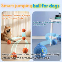 ABS USB Wiederaufladbarer Vibrations-Hundeball mit Schaltersteuerung für drinnen – Elektrisches Rollspielzeug für Hunde