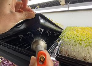 <strong>Microgreens</strong> Growing <strong>Tray</strong> Sets 1020 Microgreen <strong>Trays</strong> - Shallow extra Strength Hydroponic 1020 Flat <strong>Tray</strong>