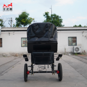 2026 <span class=keywords><strong>Chariot</strong></span> <span class=keywords><strong>à</strong></span> chevaux vintage de haute qualité, promotion, excellent <span class=keywords><strong>chariot</strong></span> <span class=keywords><strong>à</strong></span> 2 roues pour mini-chevaux, <span class=keywords><strong>à</strong></span> vendre, <span class=keywords><strong>chariot</strong></span> de défilé - Product Image 6