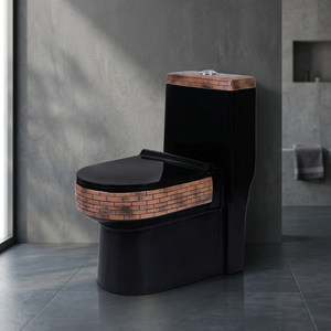 WC monobloc en céramique noire rustique, cuvette décorative colorée pour salle de bain, à siphon, fabriqué en Inde - Product Image 2