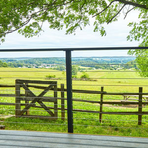 <span class=keywords><strong>Kit</strong></span> de balustrade à câble réglable pour terrasse extérieure <span class=keywords><strong>en</strong></span> <span class=keywords><strong>PVC</strong></span> et acier inoxydable, économique - Product Image 4