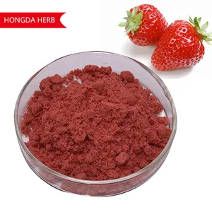 Factory Price Instant Soluble Strawberry Fruit Powder Strawberry Powder Strawberry Flavour Powder