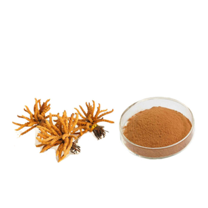 buy caterpillar fungus extract organic cordyceps sinensis in