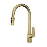 Robinet de cuisine moderne noir acier inoxydable 304 laiton pulvérisateur évier robinet robinet d'eau pour hôtels