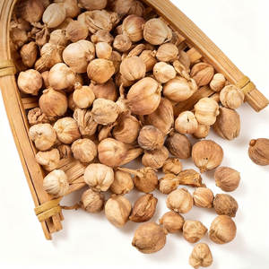 Noix de muscade entière biologique de haute qualité, qualité supérieure, fraîche, grade A, 100% biologique, coquille, 1 kg, séchée, d'Anhui - Product Image 3