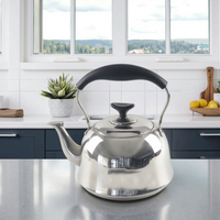 Bouilloire à eau en acier inoxydable, théière à simple paroi, avec induction Portable, pour usage domestique, théière, 1.2 l