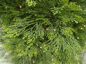Prix direct usine – Sapin de Noël pré-éclairé en PE de haute qualité (1,8 m, 2,1 m, 2,3 m, 3 m) – Idéal pour la décoration de la maison et des fêtes - Product Image 6