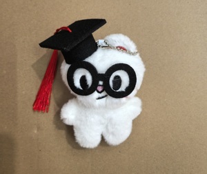 Nuevo Stray Kids Mini colgante FM Field Week niños huérfanos dibujos animados lindo mochila muñeca llavero colgante - Product Image 5