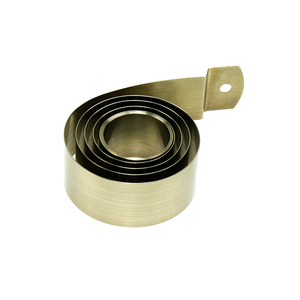 Fabricant expert de ressorts verticaux en acier inoxydable 301 pour poussoir de rayonnage - Product Image 1