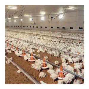 Poultry Broiler Chicken Pan Feeder And Nipple Drinker Water Line Feeding Pan System Farm Equipment for Poultry Farm in Dubai