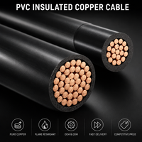 Cable Eléctrico THHN THW THWN-2 10AWG con Conductor de Cobre, Aislamiento de PVC y Revestimiento de Nailon, Estándar Americano para Equipos Eléctricos