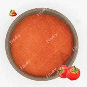 Pasokan pabrik bubuk jus tomat bubuk pasta tomat bubuk kering tomat