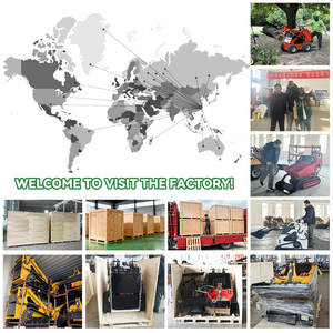 Nouvelle mini-chargeuse agricole sur roues, certifiée CE, fabriquée en Chine, machine compacte certifiée par l'usine - Product Image 3