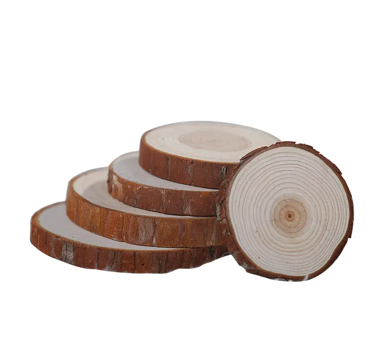 Creative Wood Log Slices Discs3-18 Diameter with Jute Rope DIY Crafts Table Number Painting Wedding Christmas Decoration