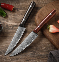 Couteau à fruits et à steak de 4 pouces, lame en acier inoxydable Damas à 67 couches, style japonais, écologique, fait main, ambidextre, manche en bois