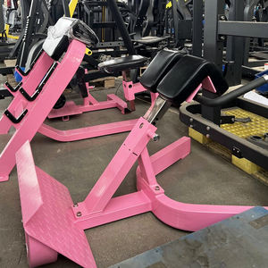 Équipement de fitness de haute qualité Chaise romaine Inverse Hyper Extension Bancs <span class=keywords><strong>d</strong></span>'exercice du bas du <span class=keywords><strong>dos</strong></span> Extension du <span class=keywords><strong>dos</strong></span> à 45 degrés - Product Image 1