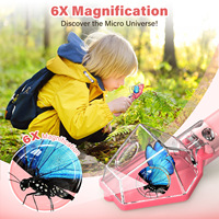 Wholesale STEM 6X Magnifier Bug Catcher Scissors Kit Insect Trap Viewer Educational Nature Exploration Toy for Kids