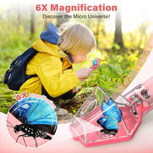 Kit <span class=keywords><strong>de</strong></span> Exploración <span class=keywords><strong>de</strong></span> la Naturaleza Educativo para Niños, con Lupa 6X, Atrapa Insectos, Tijeras y Visor <span class=keywords><strong>de</strong></span> Insectos, Venta al Por Mayor - Product Image 4