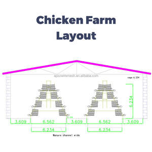 Cage de batterie Couche Oeuf de poulet cages de Type a pour couches Ferme avicole de couche automatique 96/120/128/160 Capacité Cage de ponte d'oiseaux - Product Image 6