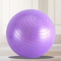 Ballon de Yoga Personnalisé en PVC, Ballon de Gymnastique Suisse, Ballon de Fitness, Ballon de Pilates, Ballon de Yoga 25cm 55cm 65cm 75cm avec Pompe et Logo