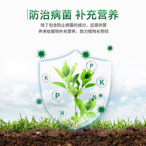 Bagelao Tou Jiliqing Trace Element Fertilizer 200g Powder <b>Soil</b> Improvement Plant Growth - Product Image 4