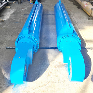 กระบอกไฮดรอลิกแบบสองจังหวะ กระบอกไฮดรอลิกขนาดใหญ่สำหรับเรือบรรทุกสิ่งของขนาดใหญ่ สำหรับเครื่องจักรทางทะเล - Product Image 2